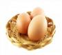 نگهداری و مصرف تخم مرغ